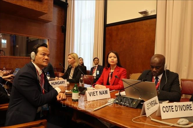 越南外交部副部长阮明姮出席会议。（图片来源：越通社）