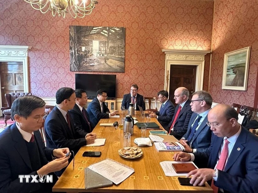 越南代表团与爱尔兰经济社会研究所举行工作会谈。（图片来源：越通社）