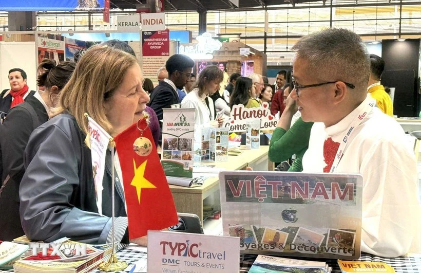 外国游客了解河内旅游的信息。（图片来源：越通社）