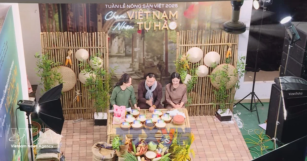 促进数字贸易发展——高效的商贸对接渠道 | Vietnam+ (VietnamPlus)
