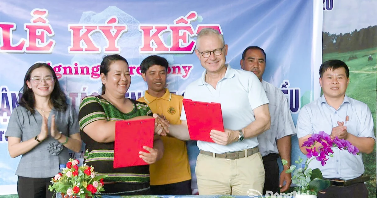 布沥草地有机腰果农业合作社社长氏快与越南英特斯纳克腰果有限公司代表签署腰果收购合作协议。（图片来源：同奈报）