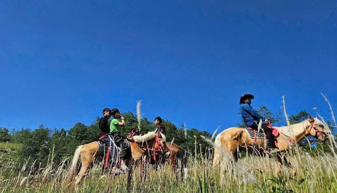 骑骏马探秘祖国最北端——宣光省独具特色的旅游体验产品。（图片来源：越通社）