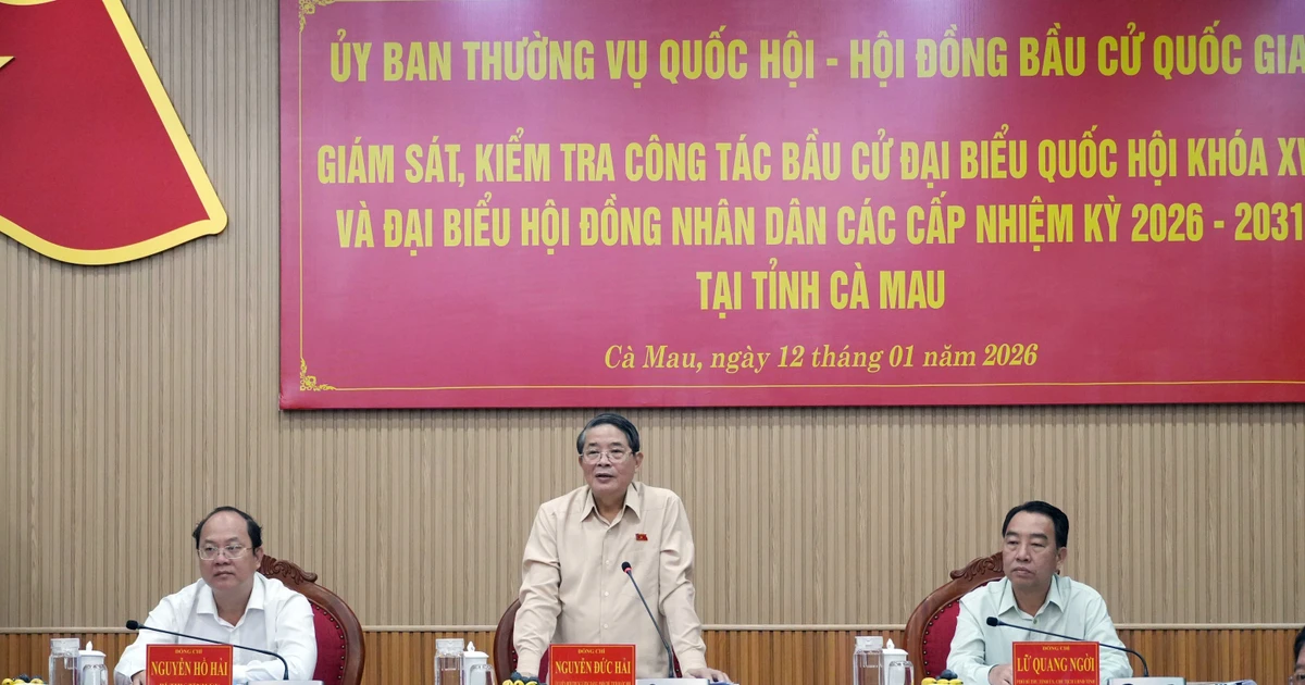 国会副主席阮德海会在上发言。（图片来源：越通社）