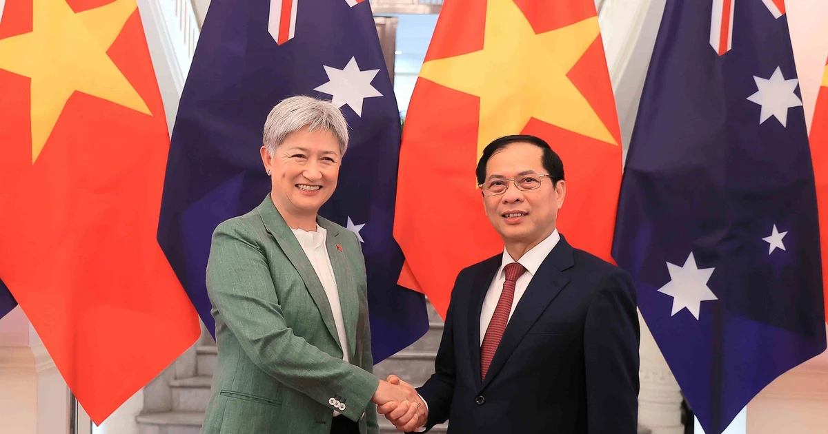 越南政府副总理兼外交部长裴青山与澳大利亚外交部长黄英贤。（图片来源：越通社）