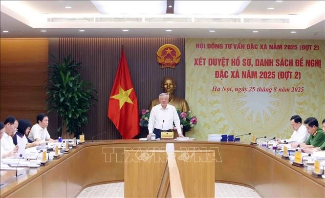 越南政府常务副总理、2025年特赦咨询委员会主席阮和平主持召开会议。（图片来源：越通社）