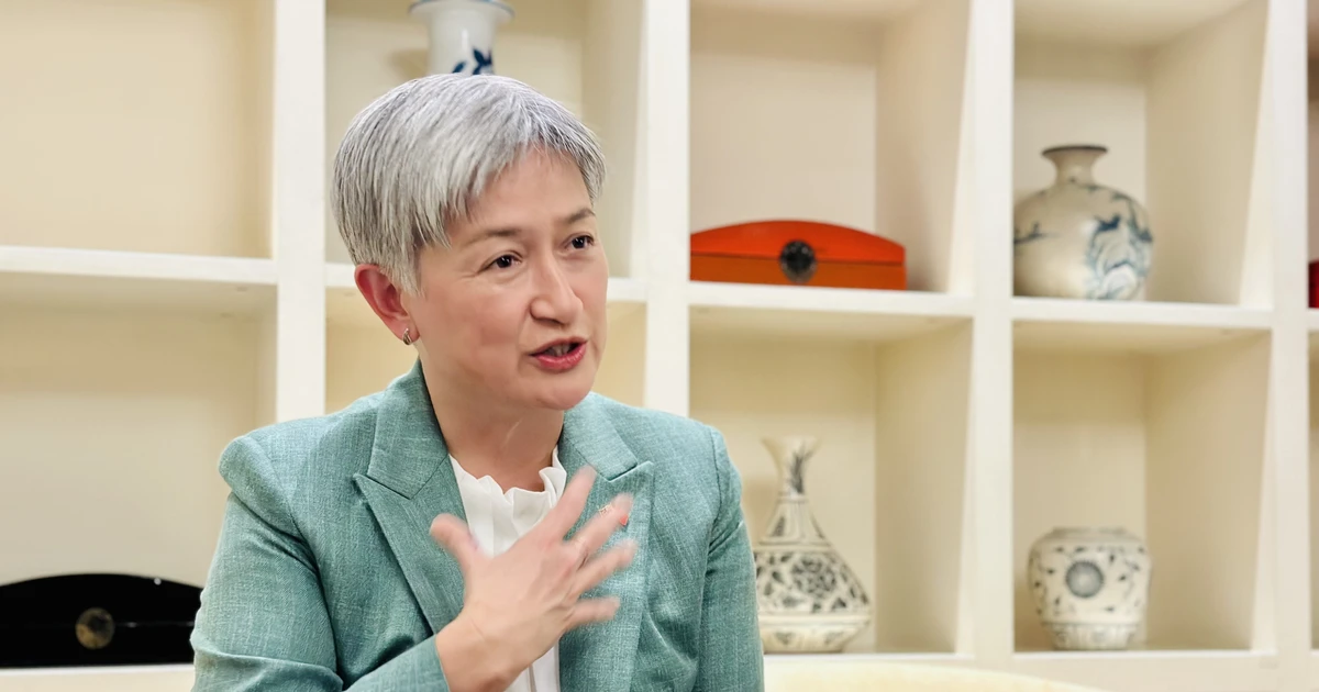 澳大利亚外交部长黄英贤接受记者的采访。（图片来源：越通社）