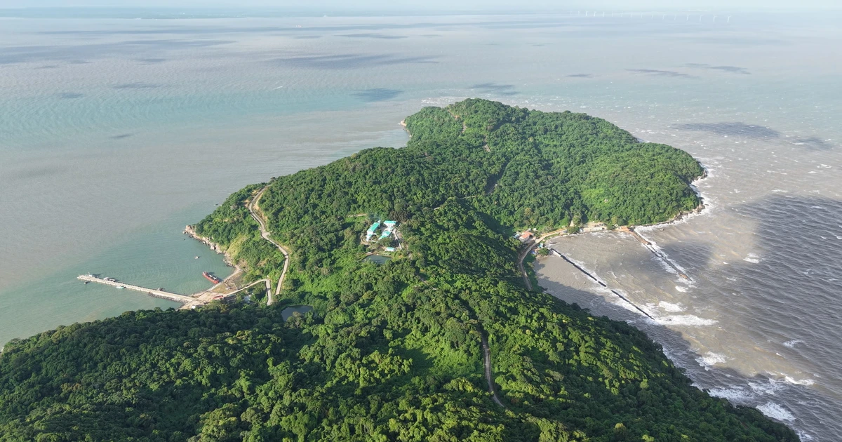 薯岛——九龙江三角洲重点经济区的重要连接点【组图】