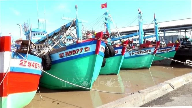 以生动直观的形式加大宣传力度 打击IUU捕捞活动。（图片来源：越通社）