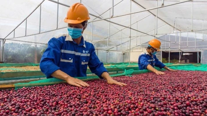 越南新订单数量反弹回升。（图片来源：越通社）