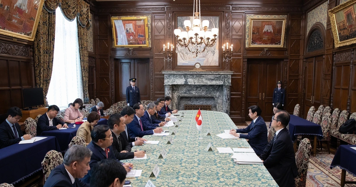 国会副主席陈光方会见日本参议院议长关口昌一。（图片来源：越通社）
