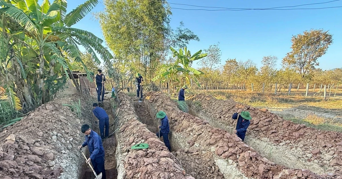 广义省K53队在老挝和柬埔寨发现4具烈士遗骸。（图片来源：越通社）