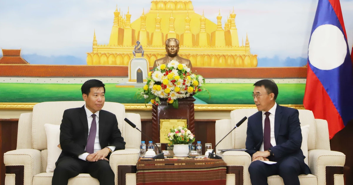 越南外交部副部长阮孟强与老挝中央对外部代理部长本莱·班达努冯。（图片来源：越通社）