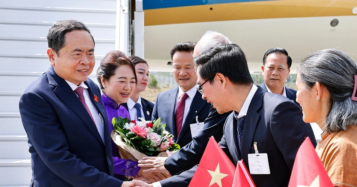 越南驻瑞士大使馆工作人员和旅瑞越南人来到机场迎接国会主席陈青敏一行。（图片来源：越通社）