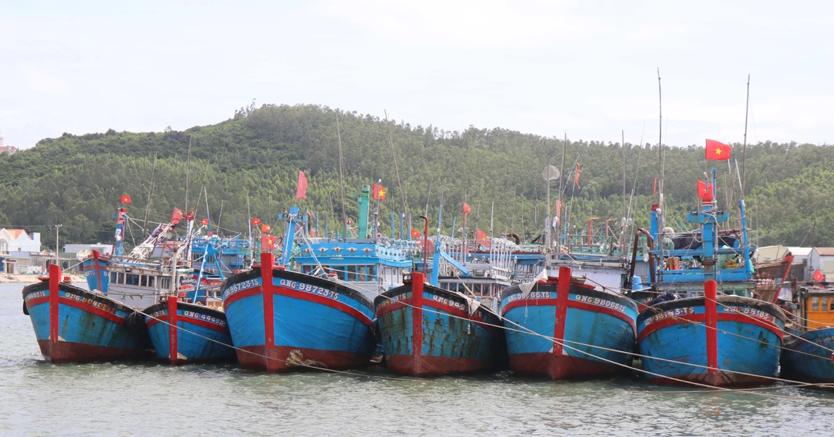 渔船到港口避风。（图片来源：越通社）