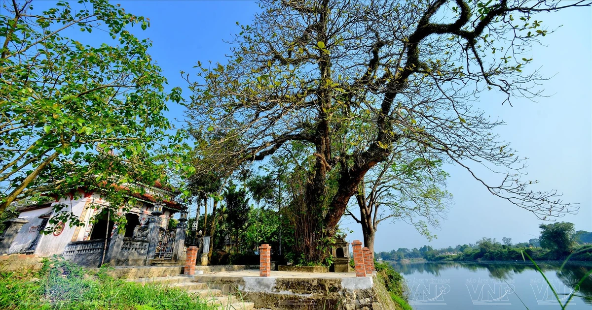 福迹古村——承天顺化省最美丽的古村之一 | Vietnam+ (VietnamPlus)