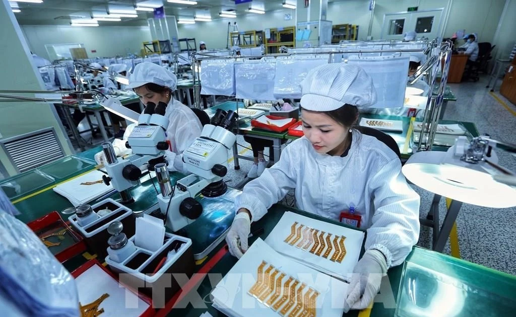 附图。（图片来源：越通社）