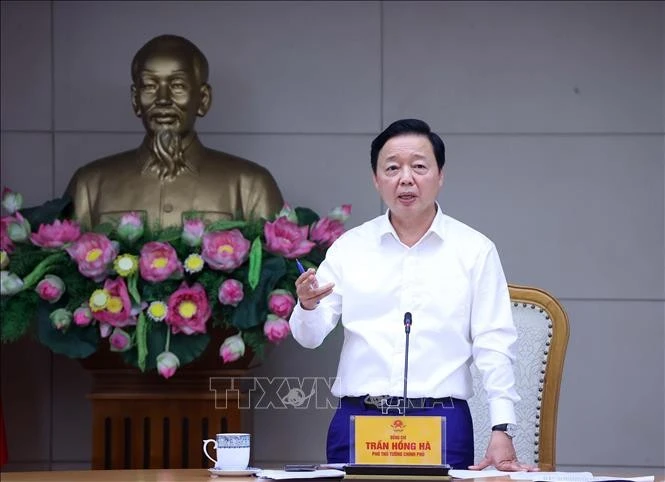 陈红河副总理在会上致辞。（图片来源：越通社）