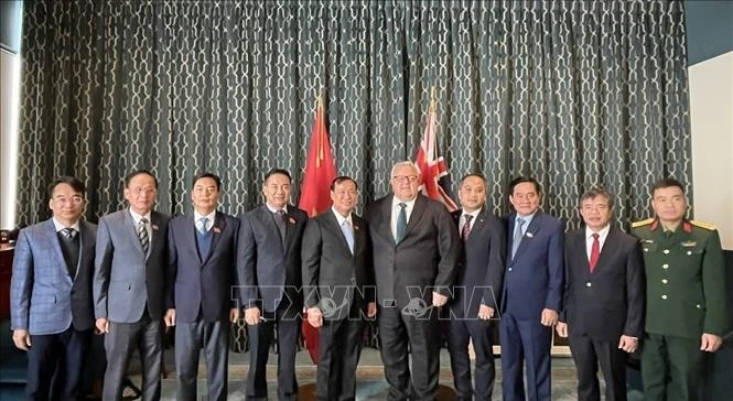 新西兰议会议长格里·布朗利与越南国会国防安全与对外委员会代表团合影。（图片来源：越通社）
