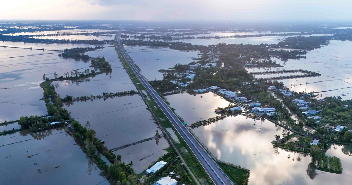 芹苴—金瓯高速公路。
