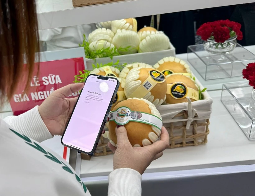 附图。（图片来源：越通社）