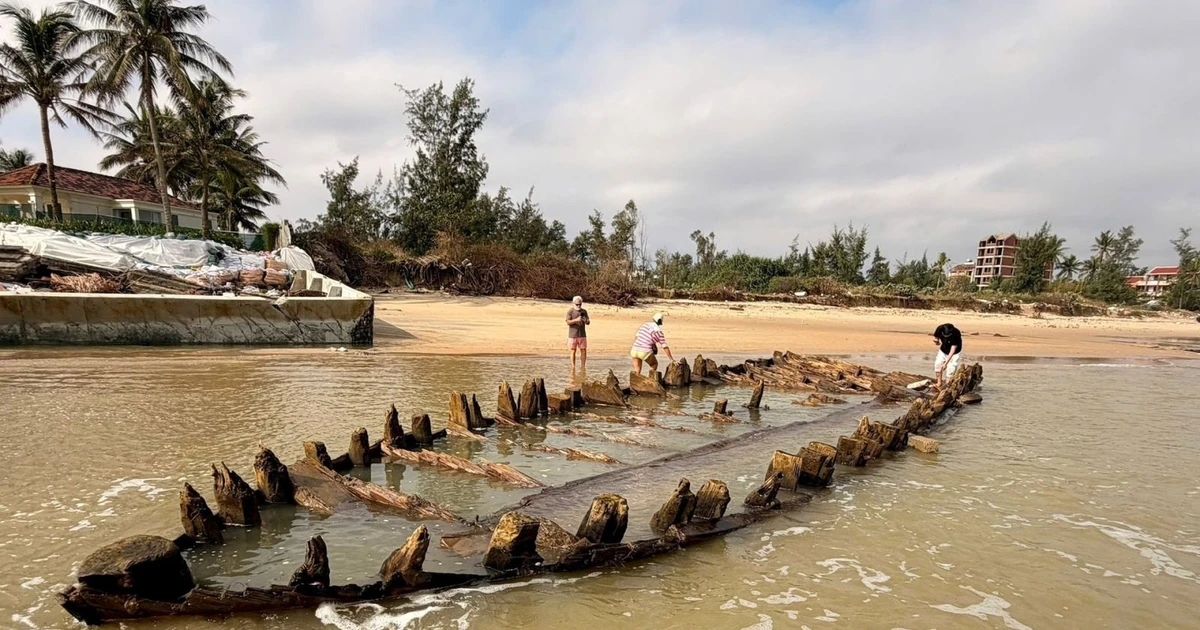越南岘港市会安西坊新城海滩上出现一艘有数百年历史的木船出现在海滩上。（图片来源：《岘港报》）