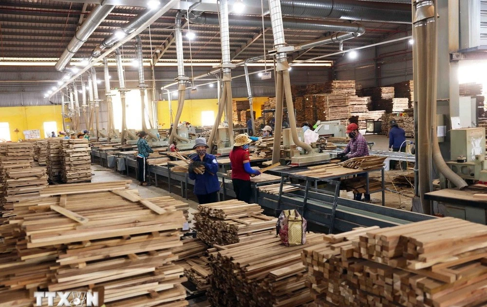 附图。（图片来源：越通社）