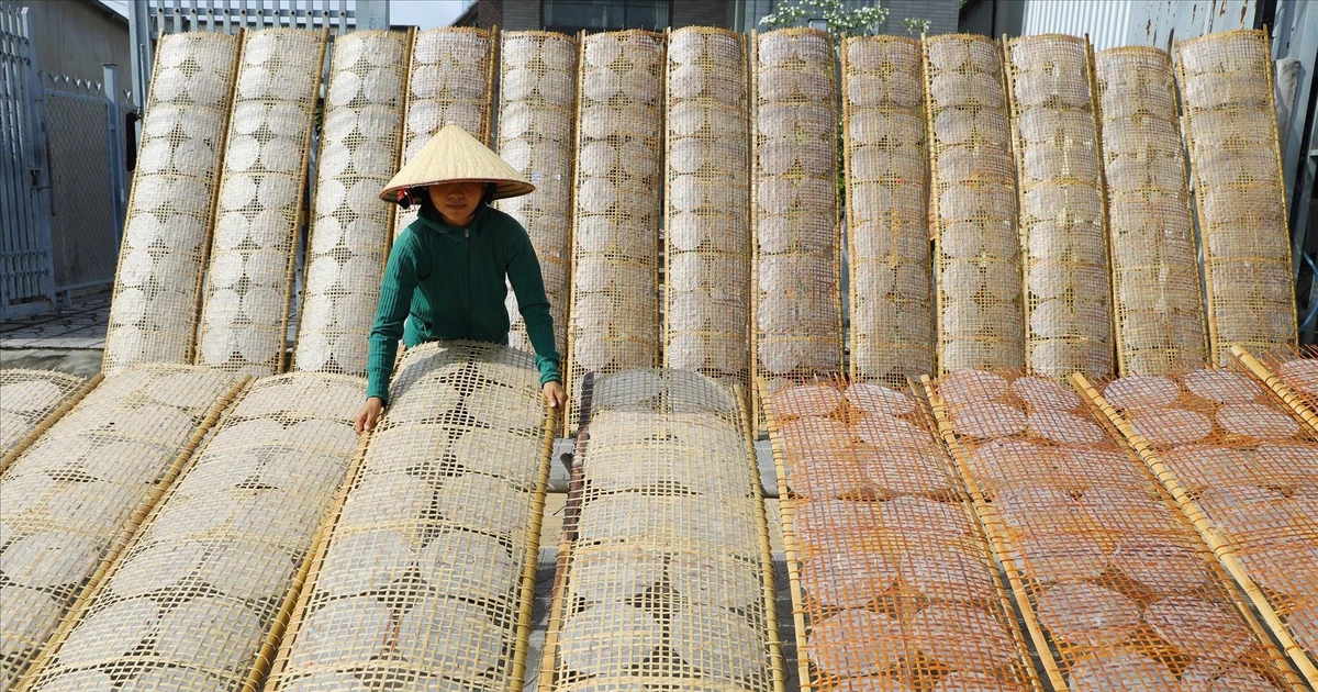 2025年6月底，当地隆重公布将安义米纸制作业列入国家级非物质文化遗产名录的决定。