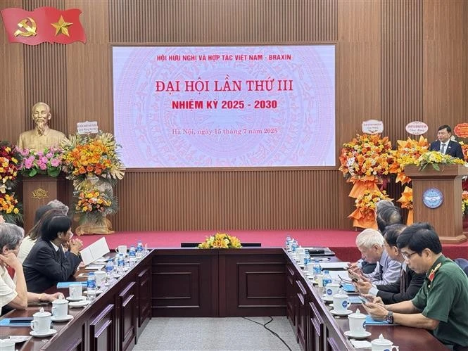 7月15日，越南－巴西友好与合作协会在河内召开第三次全国代表大会。（图片来源：越通社）