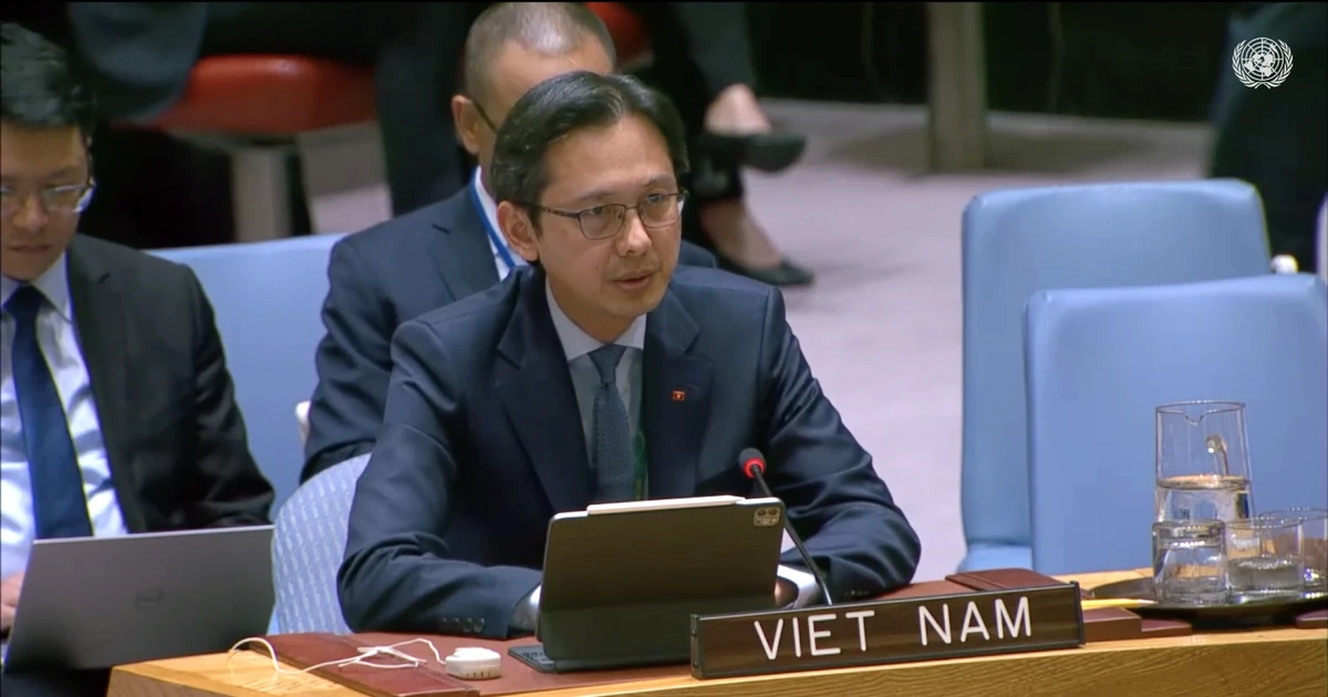 越南常驻联合国代表团团长杜雄越大使。
