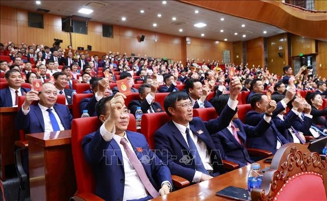 与会代表表决通过大会决议。（图片来源：越通社）