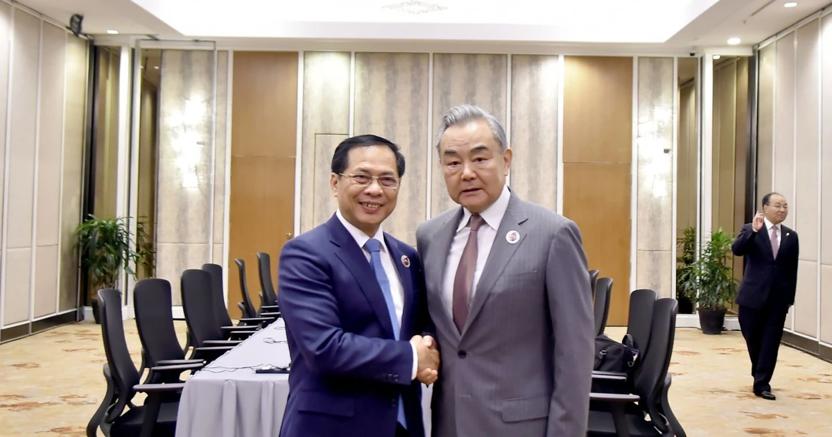 越南外交部长裴青山和中国外交部长王毅。（图片来源：越通社）