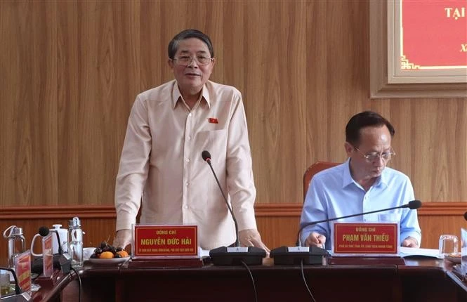 越南国会副主席、国家选举委员会委员阮德海在工作会议上发言。（图片来源：越通社）