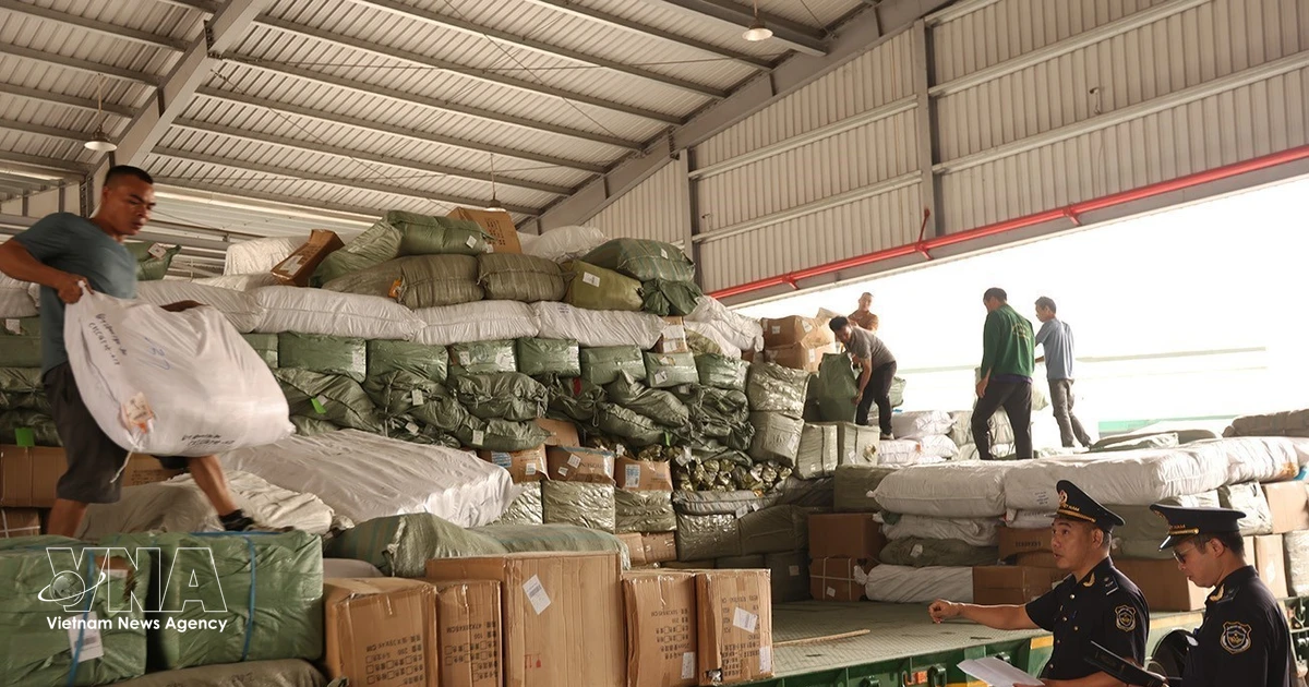越南海关加大打击假冒伪劣和商业欺诈力度 | Vietnam+ (VietnamPlus)