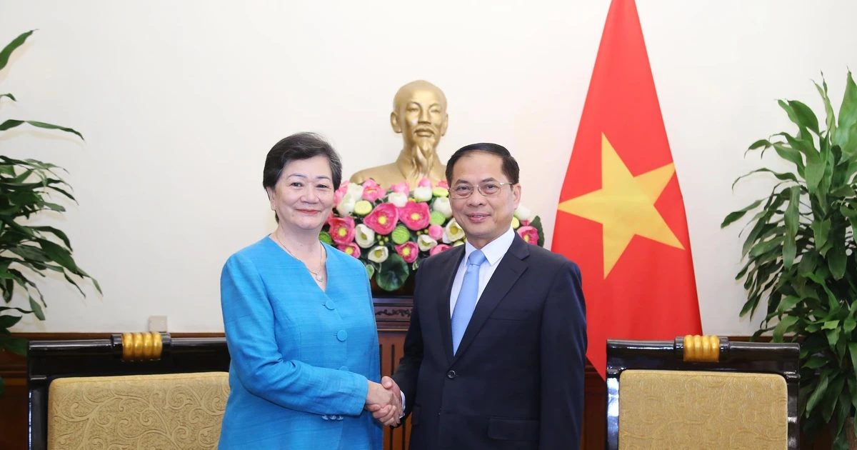 政府副总理兼外交部长裴青山会见了柬埔寨驻越南大使谢金塔。