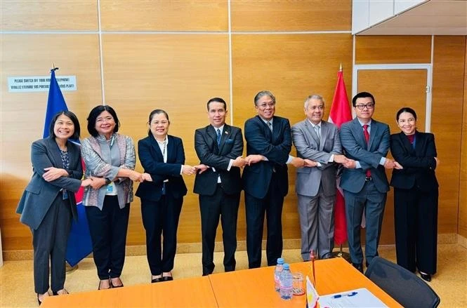 东盟八国代表合影。（图片来源：越通社）