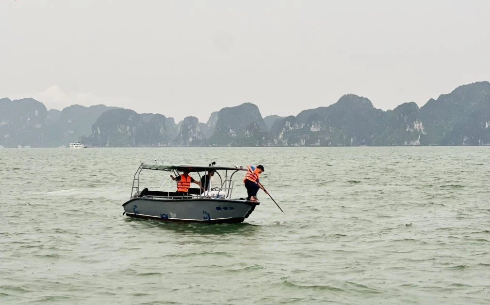 附图。（图片来源：Tienphong.vn）