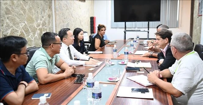 越南电视台代表团会见古巴社会信息与传播委员会。（图片来源：越通社）
