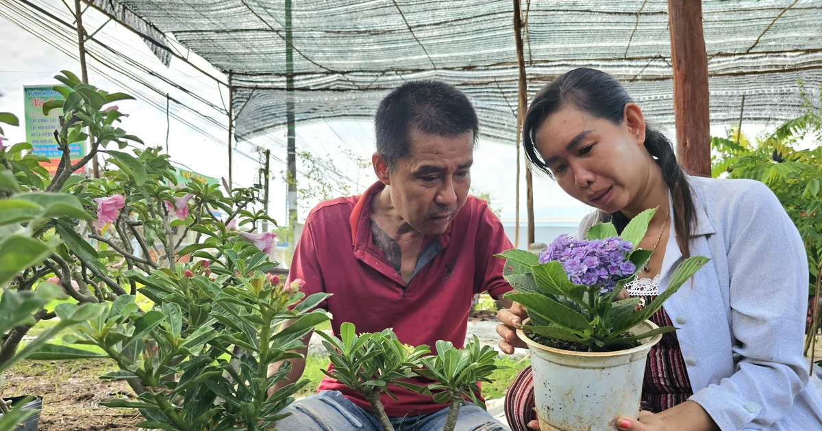 永隆省一对夫妇利用政策性信贷从事盆景制作工作。