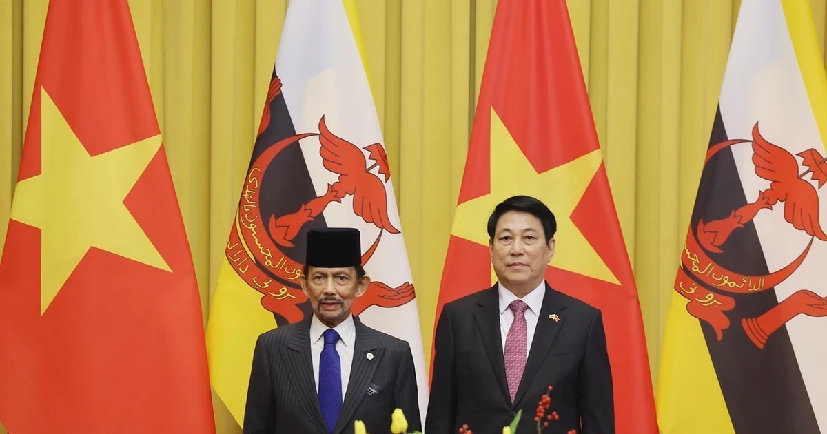 越南国家主席梁强与文莱苏丹举行会谈