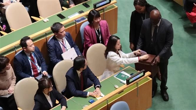 越南外交部副部长阮明姮投票。（图片来源：越通社）