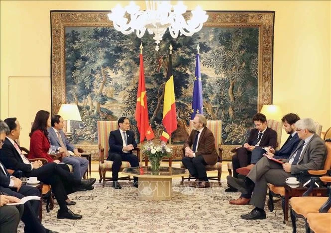 越南政府副总理裴青山会见比利时王国联邦众议院议长彼得·德鲁弗。（图片来源：越通社）