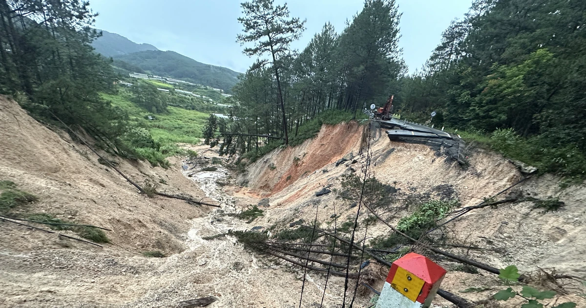 Mimosa隘口发生严重山体滑坡 林同省宣布进入紧急状态。（图片来源：越通社）