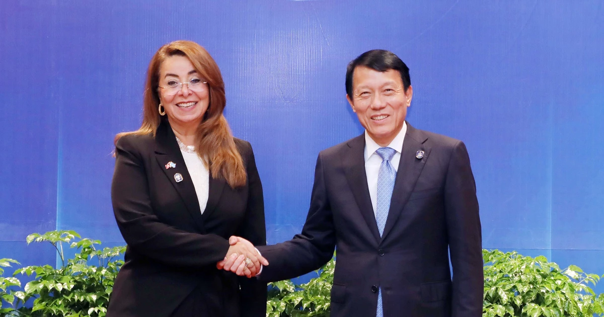 越共中央政治局委员、公安部长梁三光大将和联合国副秘书长、联合国毒品和犯罪问题办公室执行主任加达·瓦利。(图片来源:越通社)