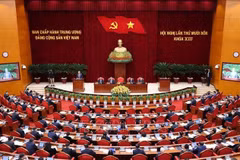 11月5日上午，越南共产党第十三届中央委员会第十四次全体会议在首都河内开幕。图自越通社