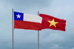 越南与智利国旗。图自互联网