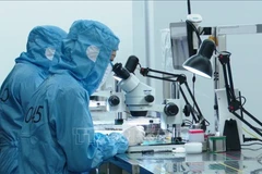 位于安平工业园区的越南舜宇光学技术有限公司（Sunny Opotech Vietnam Co., Ltd.）正在进行摄像头生产。图自越通社