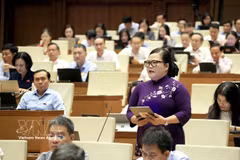 国会代表发表意见。图自越通社