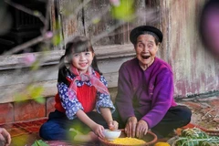 越南老人护理：亟待尽早制定可持续的战略