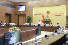 国会主席陈青敏发言。图自越通社