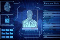 附图。图自互联网